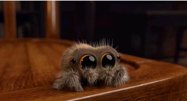 Самый милый паучок в мире