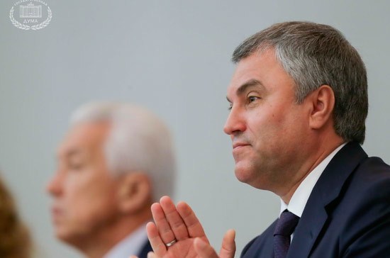 Володин: 88 НКО признаны в России иностранными агентами