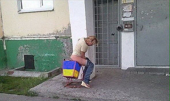 В мире животных... [18+]