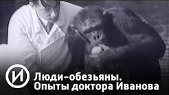 Люди-обезьяны. Секретные опыты доктора Иванова | Телеканал "История"
