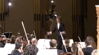 Зрительница вскрикнула от испуга, рассмешив зал, оркестр и дирижёра (видео)