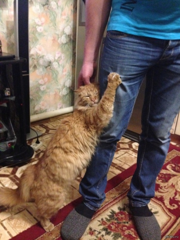 Мой любимый человек