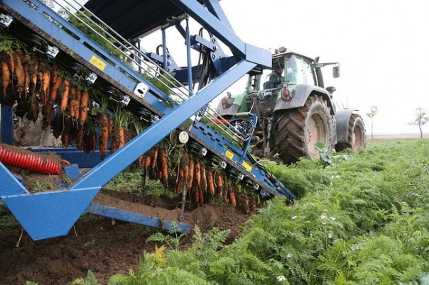 Волгоградская область. Итоги сельскохозяйственного года