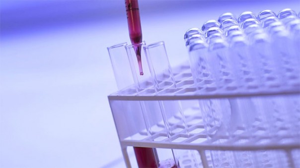 В WADA рассказали, почему могут не допустить Россию на Олимпиаду-2018