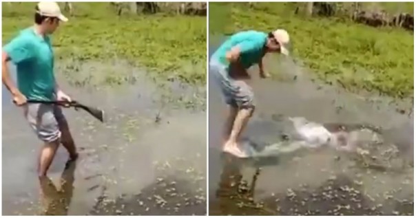 Приключения человека с ружьем на рыбалке