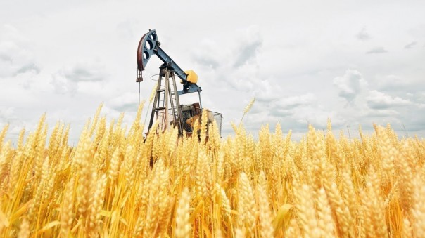 SophieCo. Нефтехранители