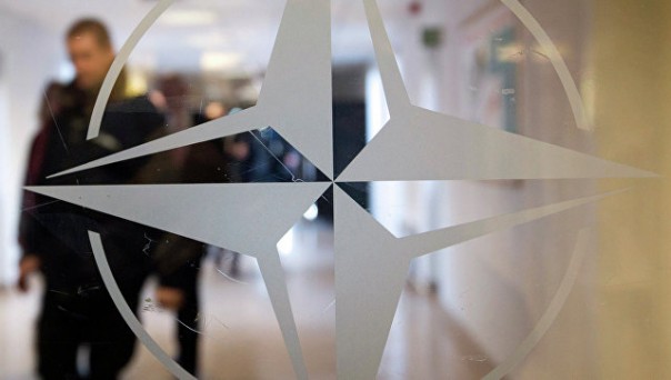 Главный советник Эрдогана призвал пересмотреть членство Турции в НАТО