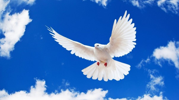 Что сказали немецкие  и российские  школьники в Бундестаге