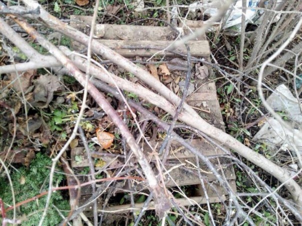 В Геническе под грудой мусора нашли схрон с боеприпасами