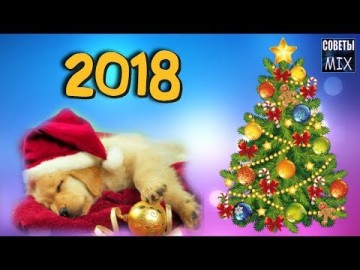 Как встречать Новый 2018 год Желтой Собаки. Что подарить, надеть и приготовить. Советы и рекомендации