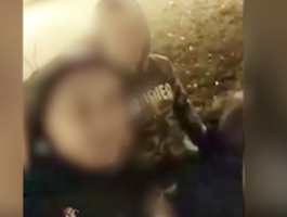 Куда катится мир?.. Хайпанули на пять суток. Героев секс-видео арестовали на Кубани [18+]