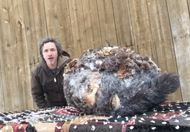 Уфолог показал голову снежного человека, которая 65 лет хранится в его морозилке