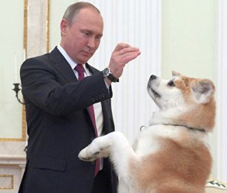 Психозы недели. «Ирония судьбы», вечный Берия и желтая собака Путина