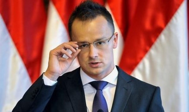 Зачем Венгрии миссия ОБСЕ в Закарпатье