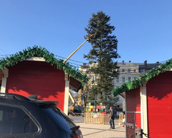 Ёлка курильщика. "Новогодняя красавица" в центре Киева облысела за один день