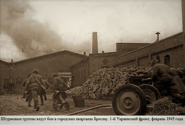 "Васильковые фуражки" стояли насмерть!