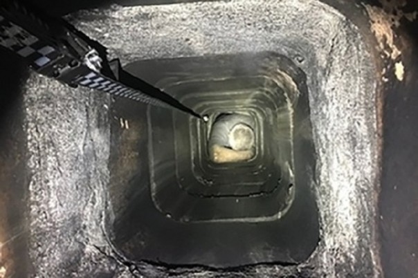 Абсурдные новости. 16 декабря 2017 года