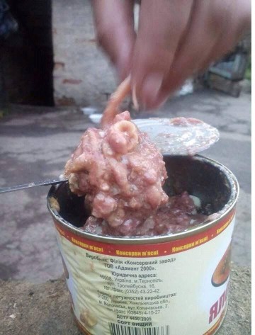 Бойцов ВСУ кормят хуже собак