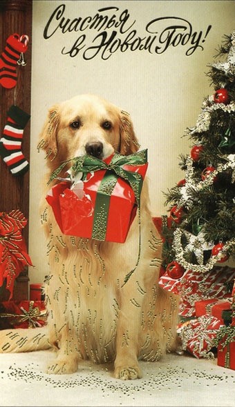 "Собачье" видеопоздравление от Минобороны  РФ