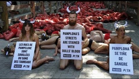 SophieCo. ООН и NASA фактически поощряют экотеррористов — политик