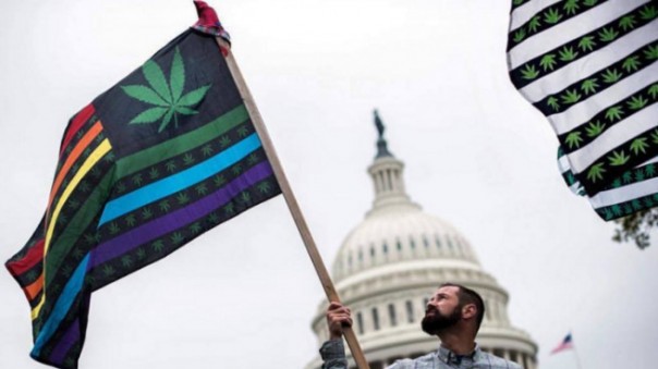 Американский рай для наркоманов: вот и Калифорния марихуану легализовала