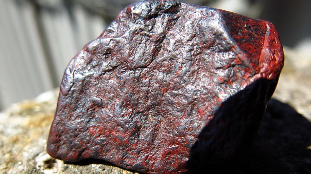 Ученый обнаружил в Крыму останки неизвестных представителей жизни