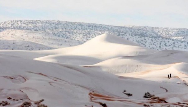 Пустыню Сахара засыпало снегом