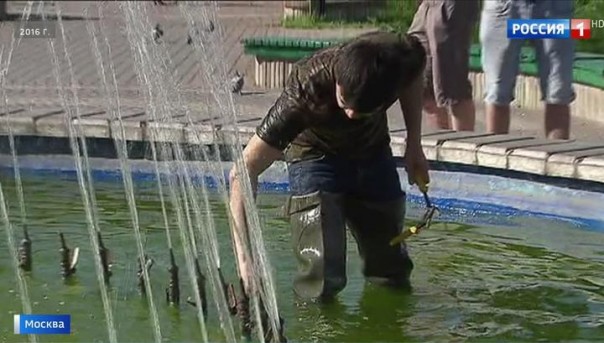 В Москве задержали участника нашумевших гонок на Гелендвагене