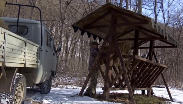 В Приморье егерь и экипаж ДПС задержали друг друга