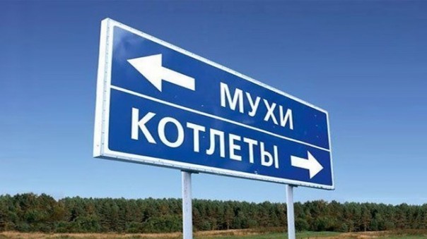 Про мух и котлеты