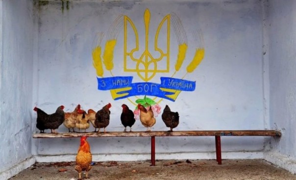 Статус «Аграрной супердержавы» оборачивается всемирным позорищем