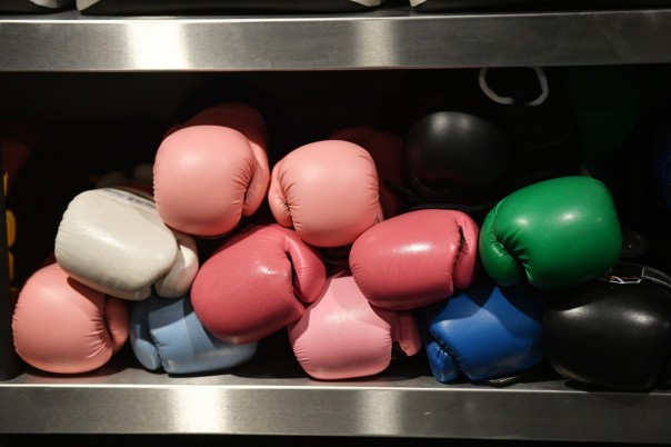 В Швеции могут запретить занятия профессиональным боксом
