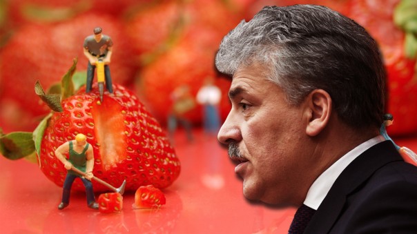 «Клубничный» олигарх Грудинин: любите меня, боты!