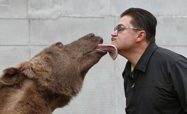 Египтянин и русский медведь