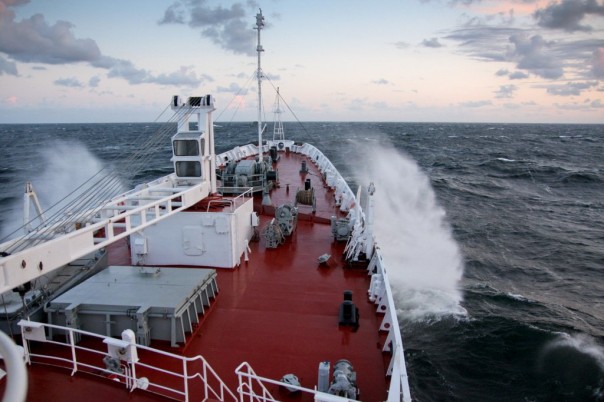 «На вес золота»: эксперт о загруженности Северного морского пути России