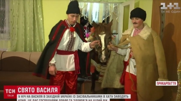Конь в хату, или Новые традиции галичан