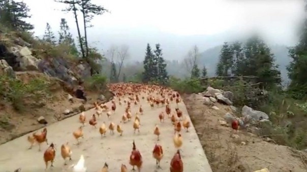 Интересное в мире