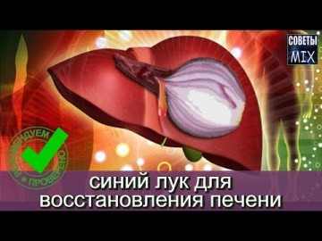 Как быстро вылечить и очистить печень в домашних условиях народными средствами без затрат