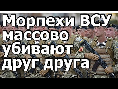 Денис Селезнёв. Морпехи Украины массово убивают друг друга