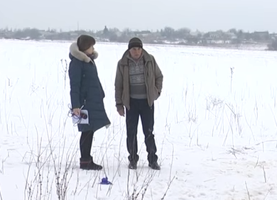 В Харцызске стая собак растерзала 12-летнюю девочку