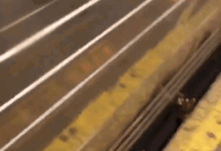 Пьяный пассажир прыгнул на рельсы метро и закурил прямо под поездом (видео)