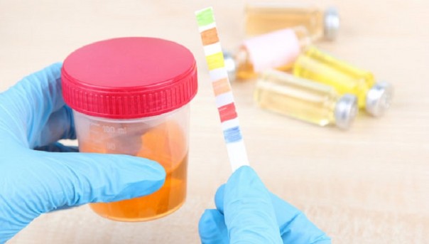 Абсурдные новости. 7 февраля 2018 года