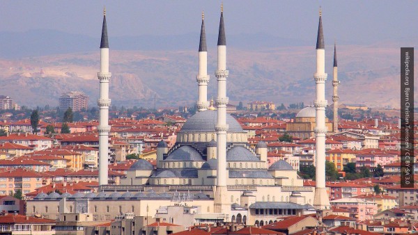 «Дыра» в ПАСЕ: Турция вместе с Россией отправили Совет Европы «мимо кассы»