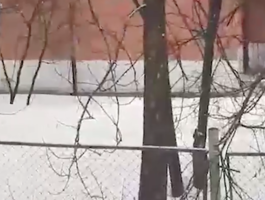 Стучал в окошко. Под Владимиром воспитатели забыли малыша на морозе — видео