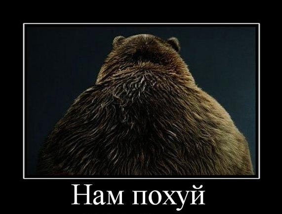 Александр Роджерс. Vae viktis. Маты в наличии | Стратегия эволюционных левых