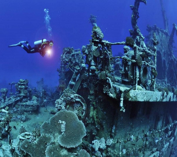 Подводные тайны: самые красивые милитари-рифы мира