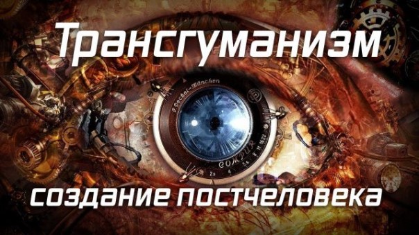 Ольга Четверикова. Они ведают что творят: оцифровка человека