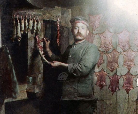 Война и крысы