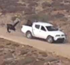 Австрийские миротворцы ООН стали соучастниками убийства