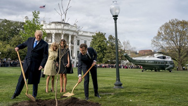 А где же дуб? С лужайки Белого дома пропало дерево посаженное Макроном и Трампом